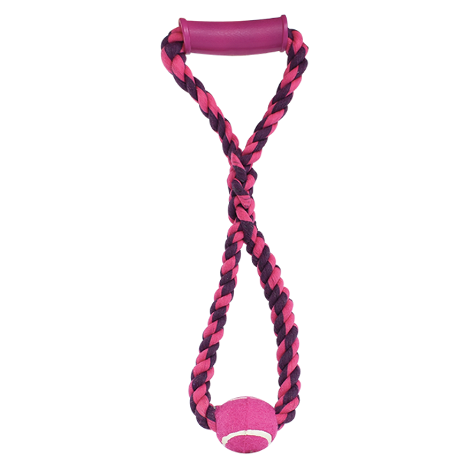 Agarradera y Aro Con Pelota Pal Therad