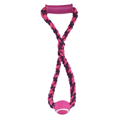 Agarradera y Aro Con Pelota Pal Therad