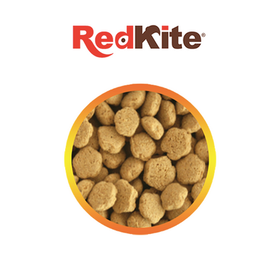 Alimento Para Hamster 450 gr