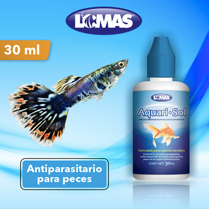 Aquari-Sol