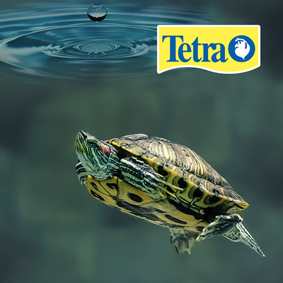 AquaSafe Para Reptiles 100ml