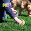 Bolsas Sanitarias Fancy Pets