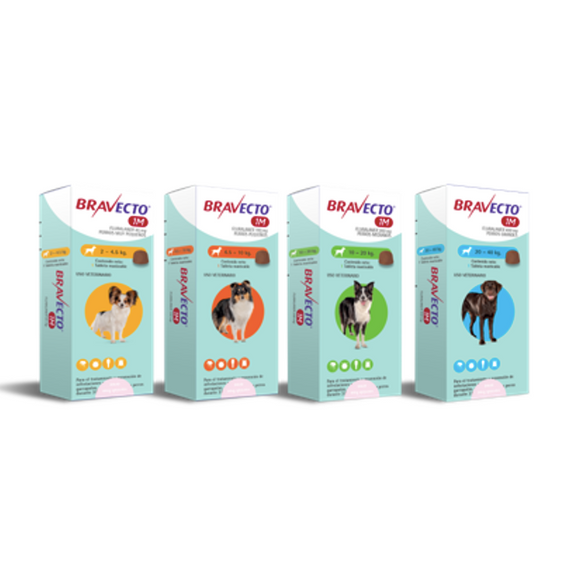 Bravecto 1 Mes (Masticable)