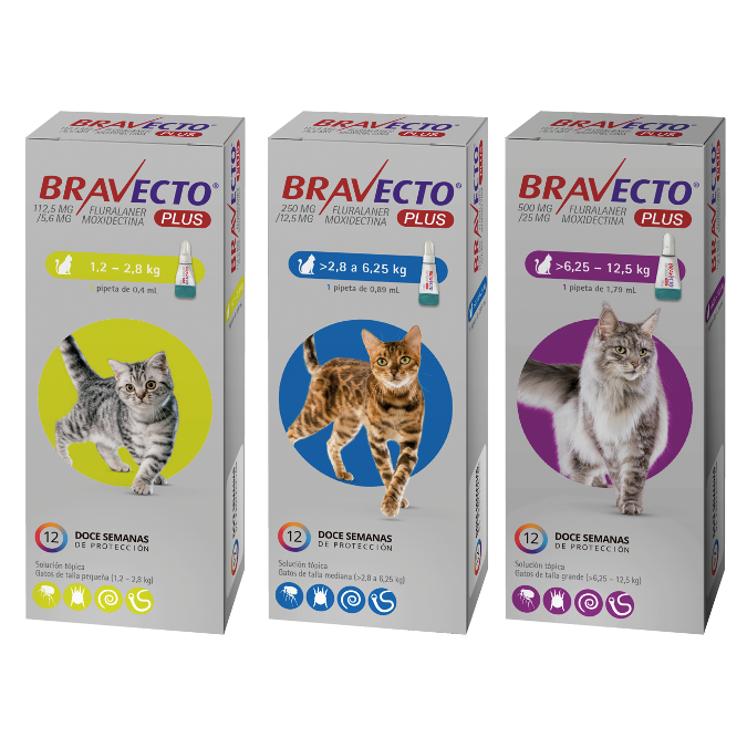 Bravecto Plus Cat