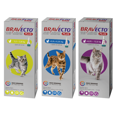 Bravecto Plus Cat