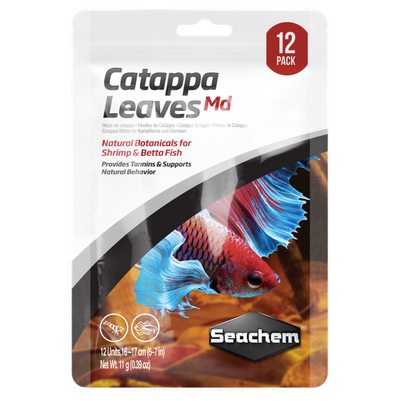 Catappa Leaves