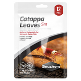 Catappa Leaves