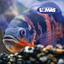 Alimento Cichlid Medium