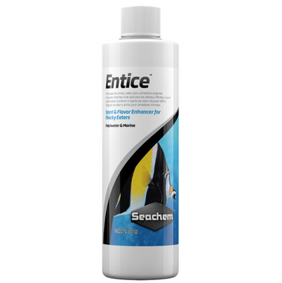 Entice 250ml
