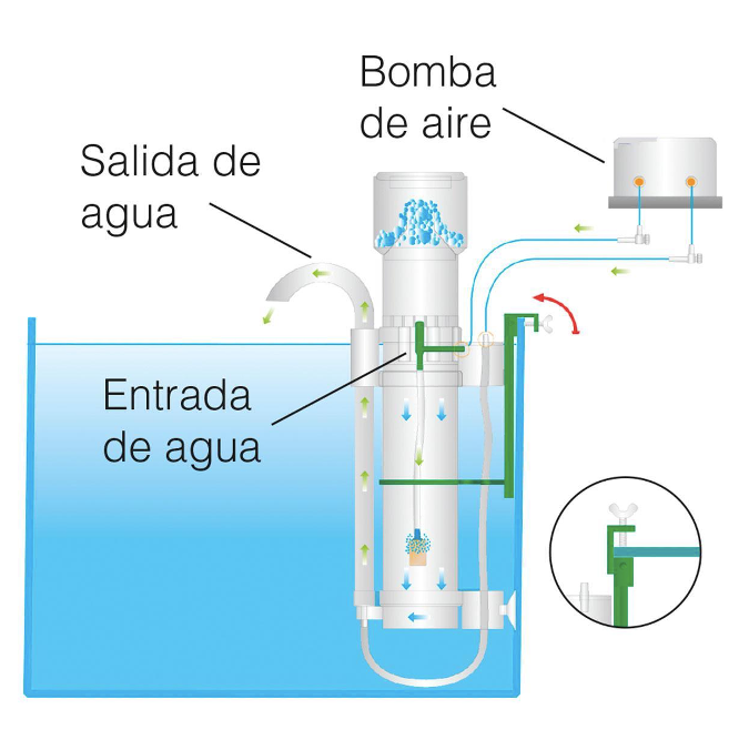 Espumador de Proteina ISTA