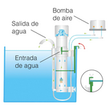 Espumador de Proteina ISTA