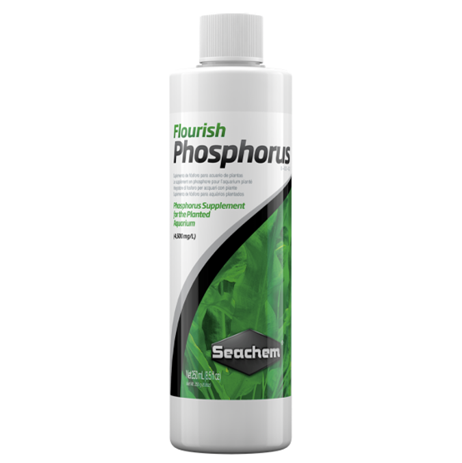 Flourish Phosphorus