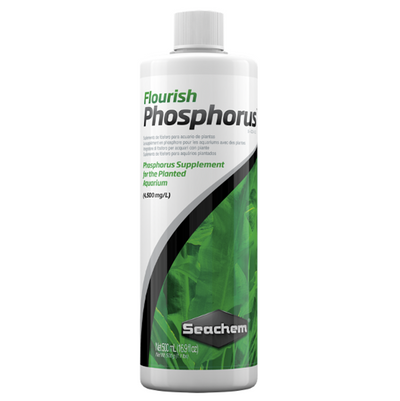 Flourish Phosphorus