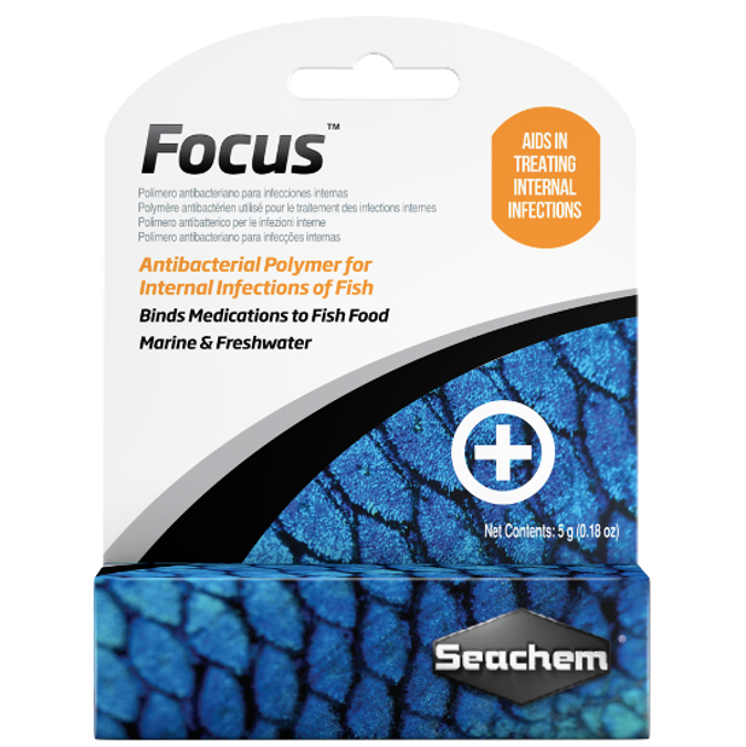 Focus 5g