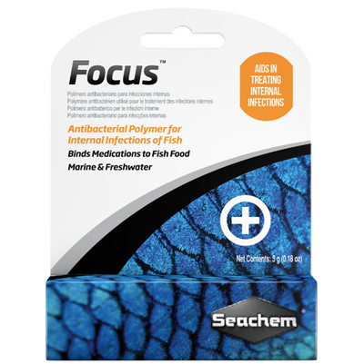 Focus 5g