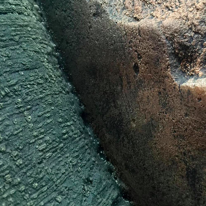 Fondo 3D Biotopo Amazonas