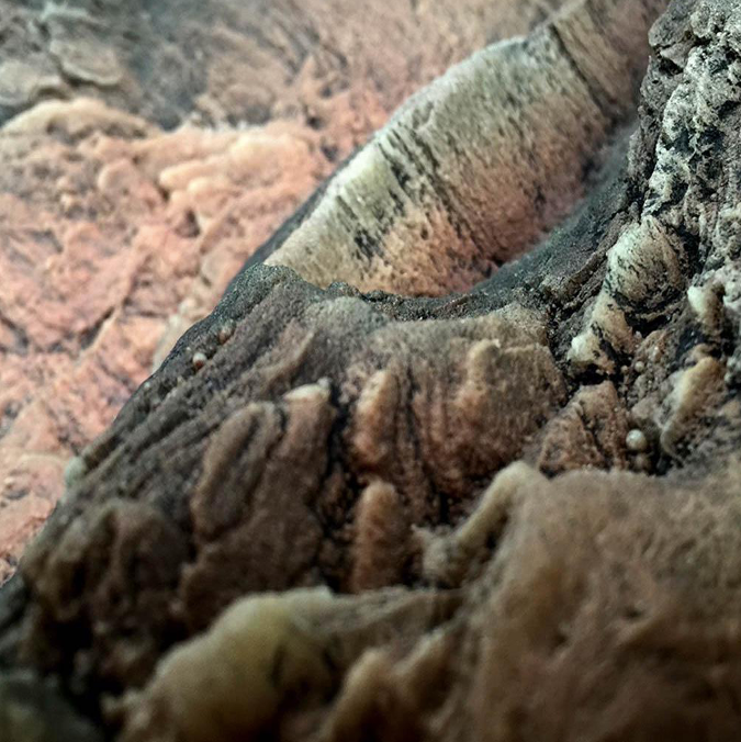 Fondo 3D Canyon Rock