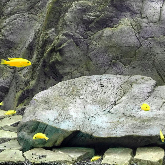 Fondo 3D Canyon Rock