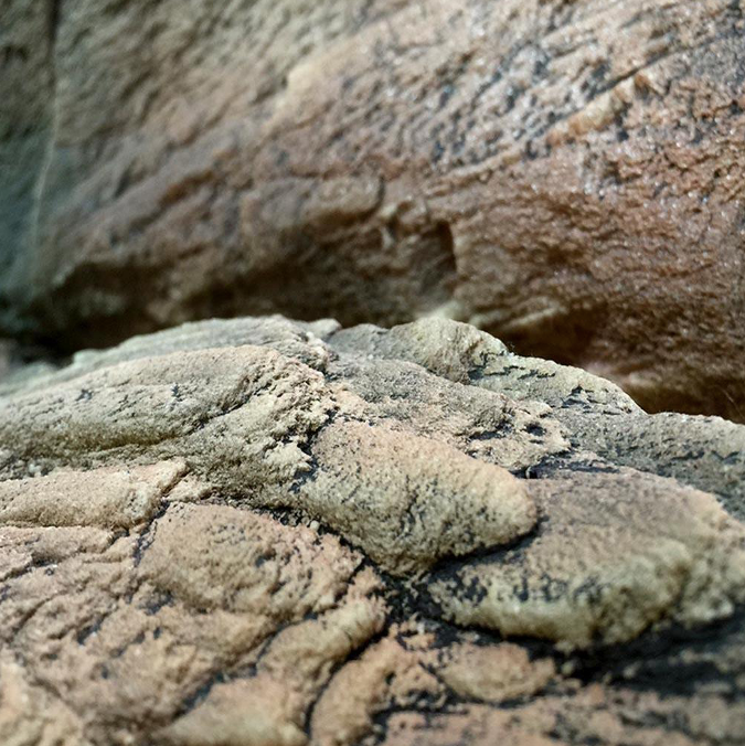 Fondo 3D Malawi Cafe