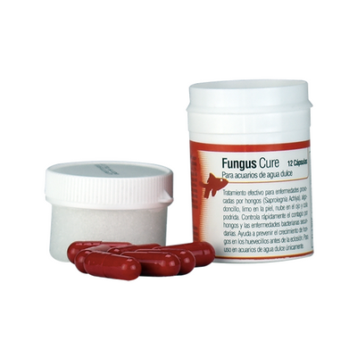 Fungus Cure