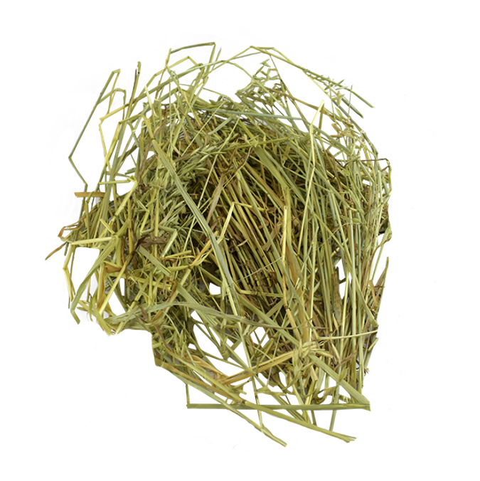 Heno De Avena Para Herbivoros 500 gr