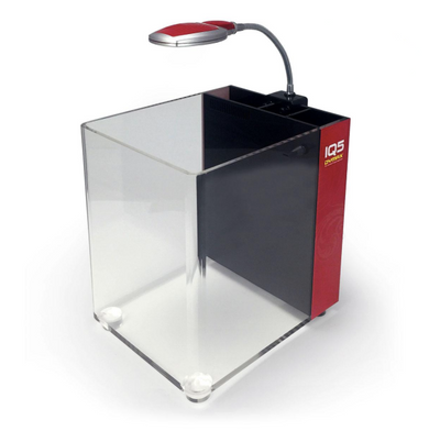 Acuario IQ5 Dymax Purpura