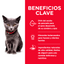 Hill's Science Diet Kitten Indoor