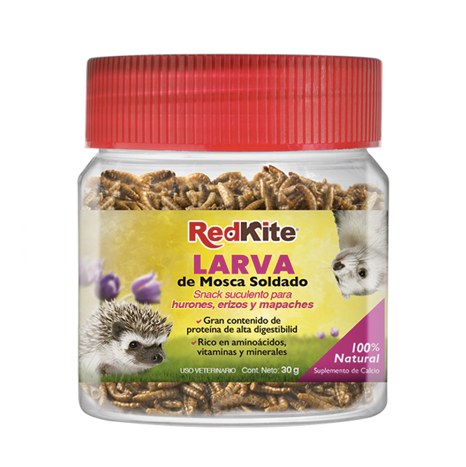 Larva De Mosca Soldado 30 gr