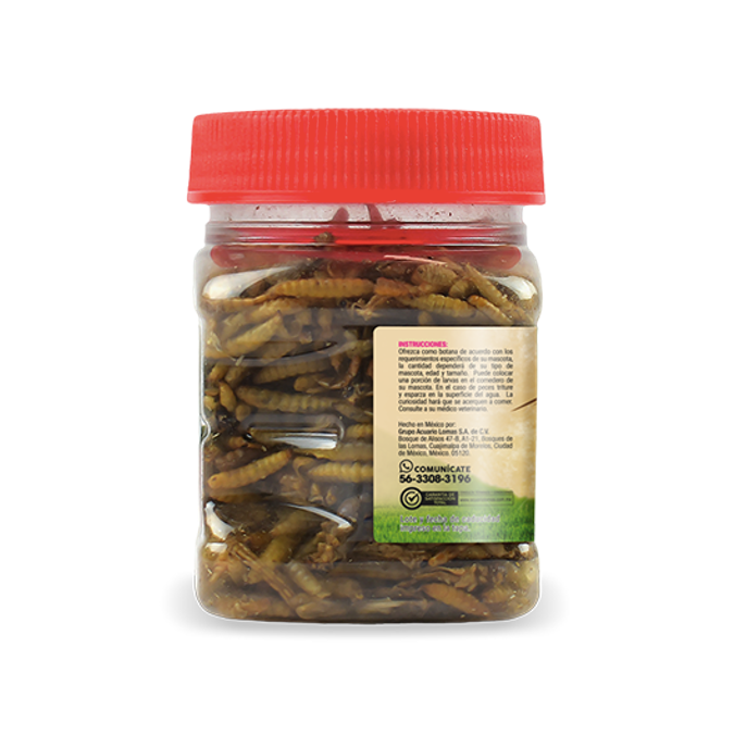 Mezcla De Insectos 34 gr