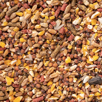 Mezcla Para Aves Silvestres y De Hogar 900 gr