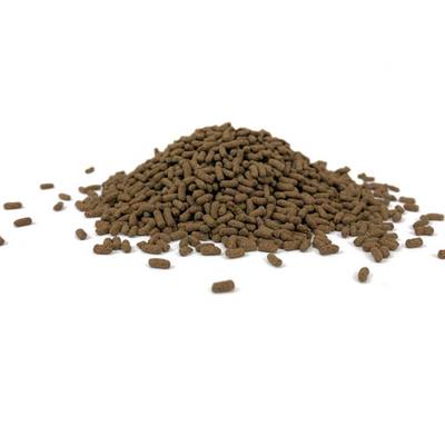 Nutri Sticks Para Tortugas Bebé