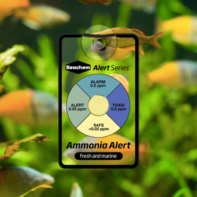 One Year Combo Alert