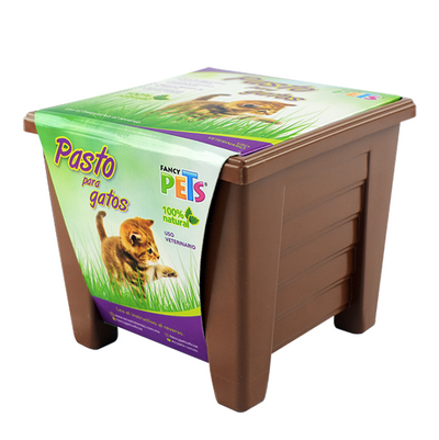 Pasto Para Gatos
