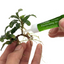 Pegamento Instantaneo Para Plantas ISTA 25 x 4gr