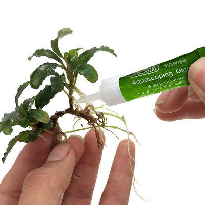 Pegamento Instantaneo Para Plantas ISTA 25 x 4gr