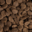 Apex Goldfish Pellet de Crecimiento y Color