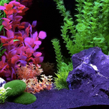 Plantas Artificiales Boyu
