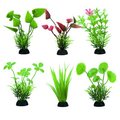 Plantas Para Acuario Lomas