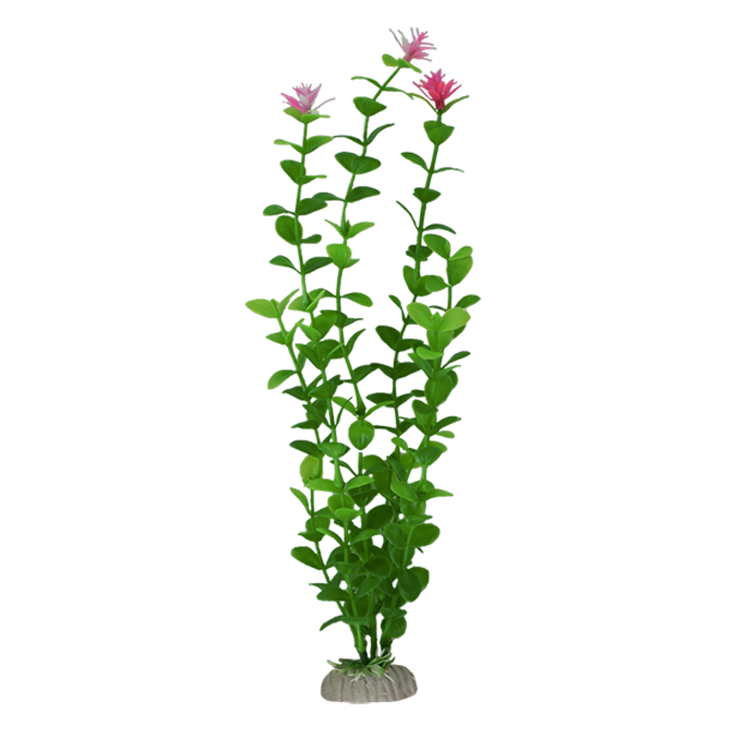 Plantas Para Acuario Lomas