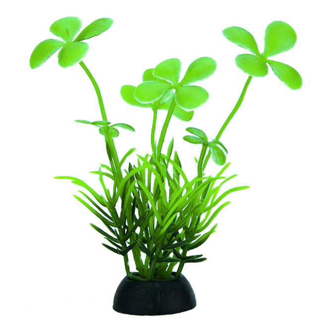 Plantas Para Acuario Lomas