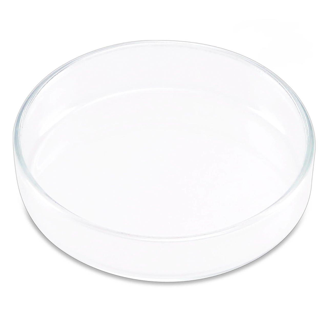 Plato de Cristal Para Alimentar Camarones ISTA