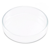 Plato de Cristal Para Alimentar Camarones ISTA
