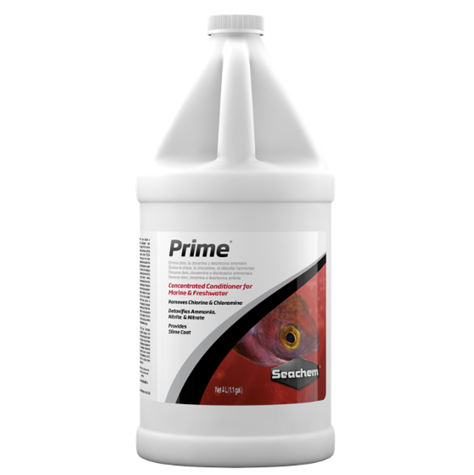 Prime