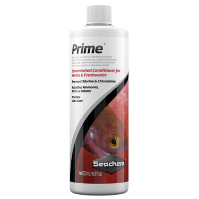 Prime