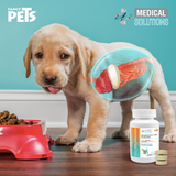 Probioticos Tabletas Masticables MS 60 Tabletas