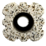Pro-lite Ceramica Para Anidacion de Bacteria Dymax