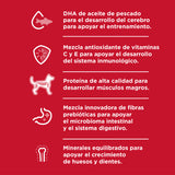 Hill's Science Diet Puppy Large Breed