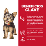 Hill's Science Diet Puppy Small & Mini Tray Pollo y Vegetales 100 gr