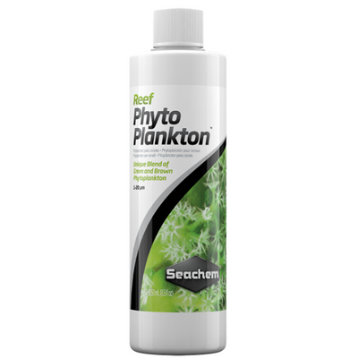 Reef Phytoplankton
