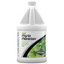 Reef Phytoplankton